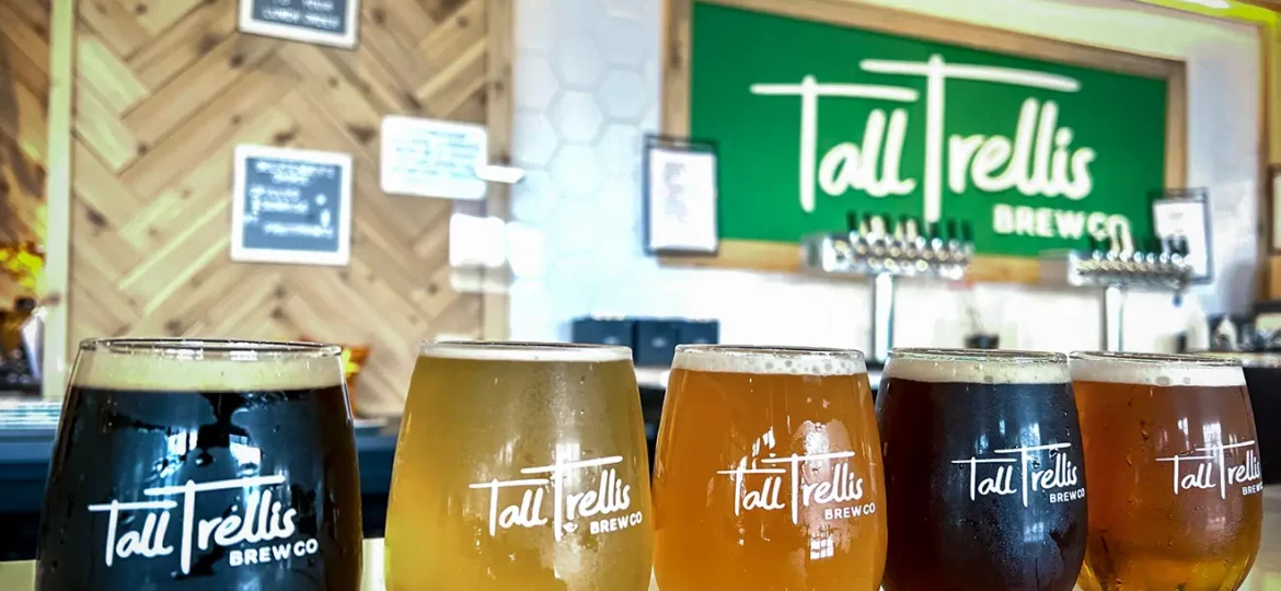 tall-trellis-sip-savor-flight-beers-bar