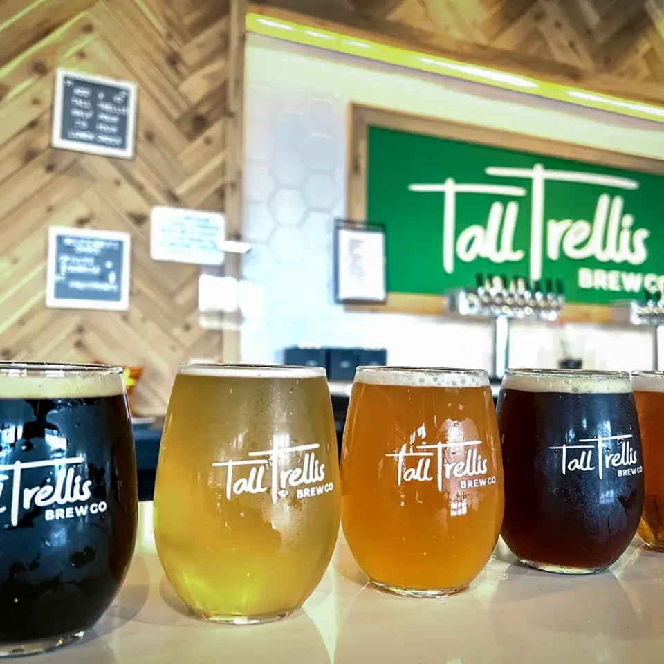 tall-trellis-sip-savor-flight-beers-bar