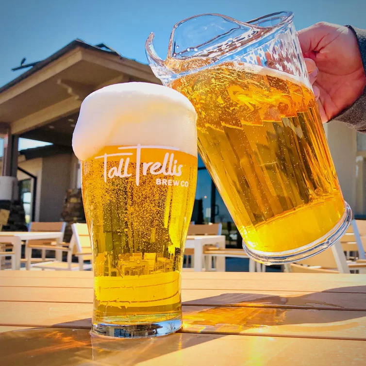 tall-trellis-pitcher-beer-outside